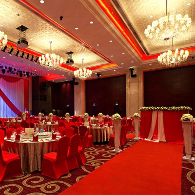 Plain needle punch exhibition carpet wedding runner event red carpet